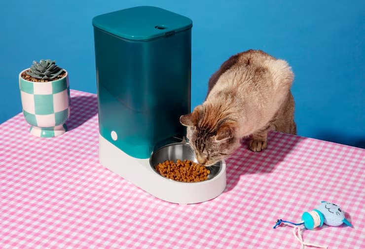 Best Litter for Self Cleaning Litter Box
