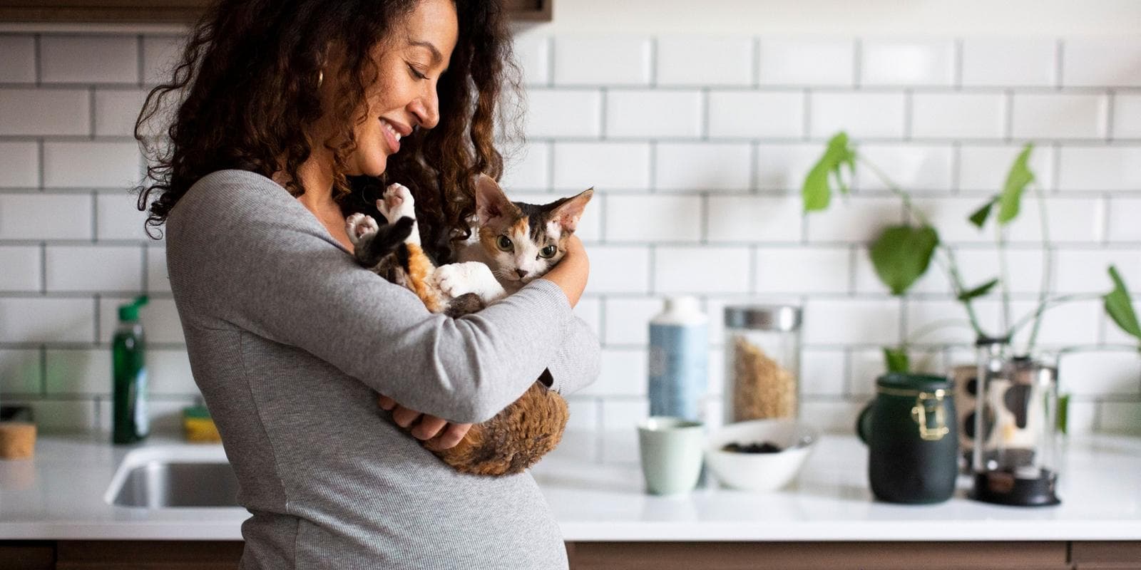 Cat Litter Box During Pregnancy