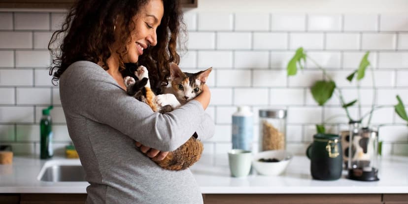 Cat Litter Box During Pregnancy