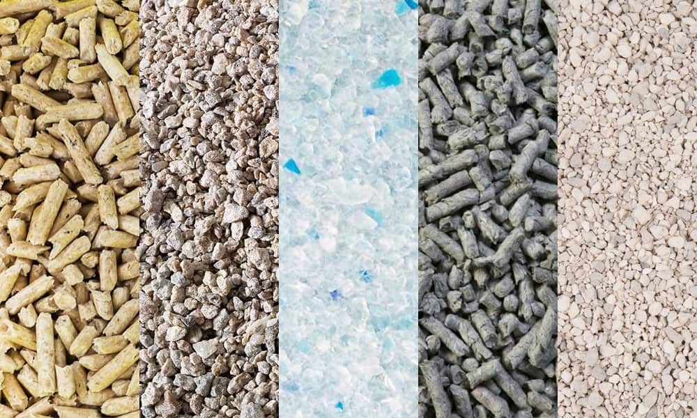 different types of cat litter