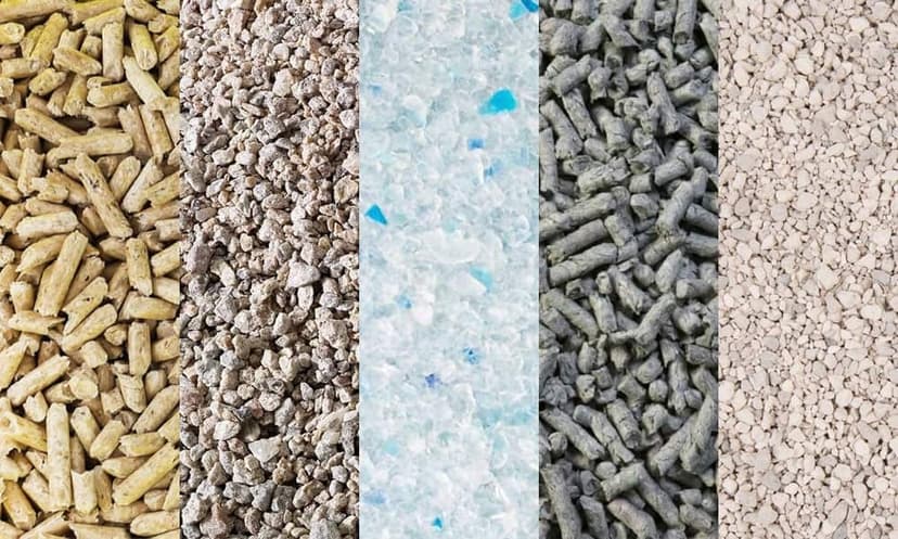 different types of cat litter