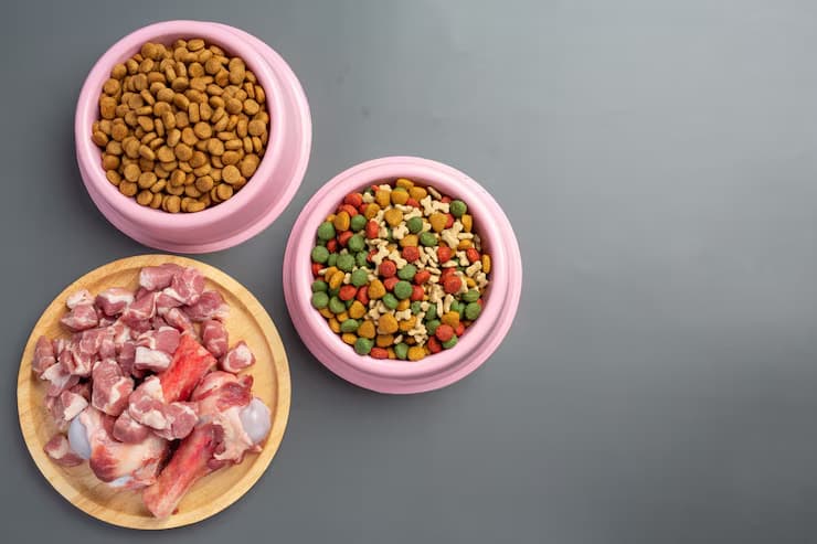 Wet Food vs Dry Food for Cats