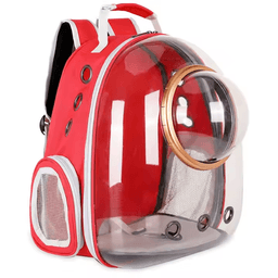 cat bubble backpack