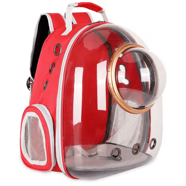 cat bubble backpack