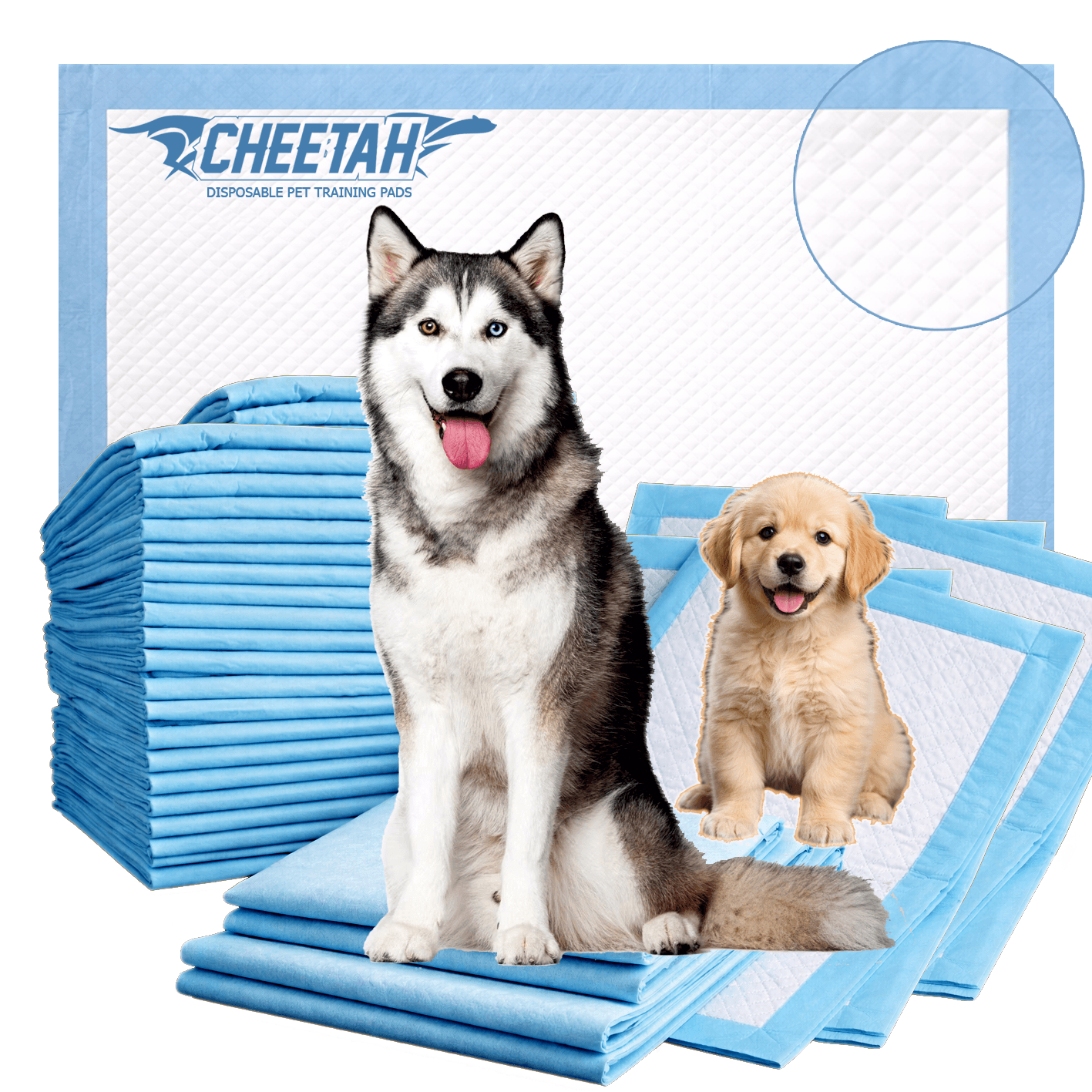 CHEETAH Cheap Puppy Pads in Bulk ā 6-Layers, Blue Color , M Size- 50Pcs