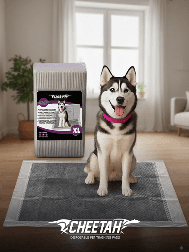 Pet Training Pads Pet Training Pads